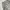 Y2K Sportswear Sweatpants & Joggers Pria gray photo 7