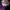 Champion Streetwear Casual Sweater Pria purple photo 2