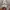 GAP Streetwear Puffer jacket Pria gray photo 3
