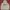 GAP Streetwear Puffer jacket Pria gray photo 1