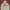 GAP Streetwear Puffer Jacket Pria Gray