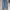 Levi's Vintage Minimalist Wanita White Navy