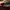 Dr. Martens Vintage Casual Loafer Wanita burgundy red photo 5