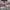 LAINE Casual Casual shirt Pria burgundy gray photo 6