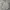 LAINE Casual Formal shirt Pria gray photo 1