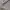 LAINE Casual Formal shirt Pria gray photo 6