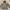 Vintage Y2K Hoody Pria gray photo 2