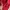 New Balance Streetwear Hoody Pria multicolor photo 2