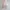 Japanese brand Cottagecore Coquette Summer dress Wanita white cream photo 4