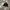 Carhartt Streetwear Y2K Hat Pria black photo 2