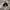 Carhartt Streetwear Y2K Hat Pria black photo 1