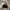 Carhartt Streetwear Y2K Hat Pria black photo 3