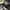 Japanese brand Futurist Stroller Kids black photo 4