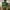 Von Dutch Casual Hat Pria multicolor green photo 2
