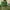 Von Dutch Casual Hat Pria multicolor green photo 1