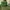 Von Dutch Casual Hat Pria Multicolor Green