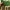 Von Dutch Casual Hat Pria multicolor green photo 8