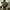 Von Dutch Casual Hat Pria multicolor green photo 5