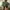 Von Dutch Casual Hat Pria multicolor green photo 4