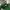 Von Dutch Casual Hat Pria multicolor green photo 7