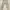 Uniqlo Vintage Casual Casual pants Pria tan photo 1