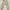 Uniqlo Vintage Casual Casual Pants Pria Tan