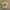 Obey Streetwear Y2K T-shirt Pria yellow photo 2