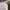 Von Dutch Vintage Casual Hat Pria white black photo 4