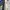 Glamdy Goth Avant Garde Flare pants Wanita multicolor photo 1