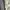 Glamdy Goth Avant Garde Flare pants Wanita multicolor photo 6