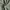 Minimalist Formal pants Pria green photo 6