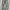 Streetwear Indie Jeans Pria multicolor photo 2