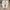 Nike Streetwear Sportswear Sneakers Pria white gray photo 7