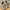 Nike Streetwear Sportswear Sneakers Pria white gray photo 6