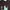 Milkboy Casual Casual shirt Pria green photo 5