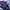 Nike Casual Windbreaker Pria purple photo 2