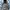 Patagonia Gorpcore Sweater Pria Gray