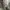 Nike Casual Bomber jacket Pria gray photo 4
