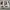 Japanese brand Casual Pria white photo 4