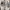 Keds Casual Sneakers Wanita white photo 3