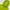 Uniqlo Sportswear Windbreaker Pria green photo 2