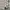 Casual Formal shirt Pria cream photo 4