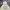 Minimalist Hoody Pria white photo 2