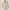 Tsumori Chisato Casual Blouse Wanita white photo 3
