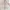 Tsumori Chisato Casual Blouse Wanita white photo 4