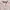 Tsumori Chisato Casual Blouse Wanita white photo 6