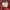 Issey Miyake Casual T-shirt Wanita red photo 8