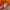 Carhartt Vintage Streetwear Hoody Pria orange photo 3