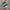 Puma Emo Casual Sneakers Wanita white green photo 1