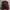 Dickies Streetwear Casual Puffer jacket Pria red photo 2